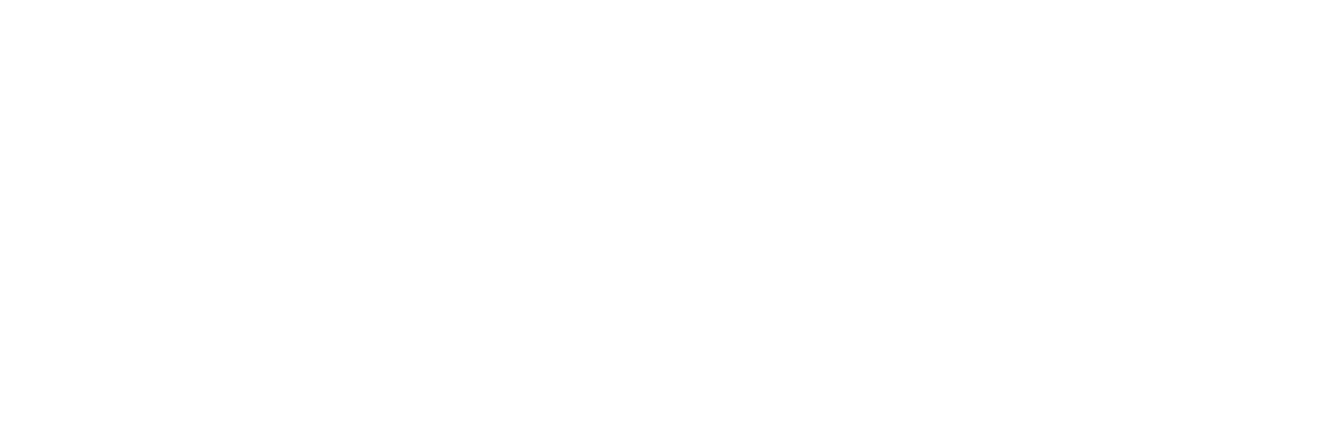 Rich Interactive